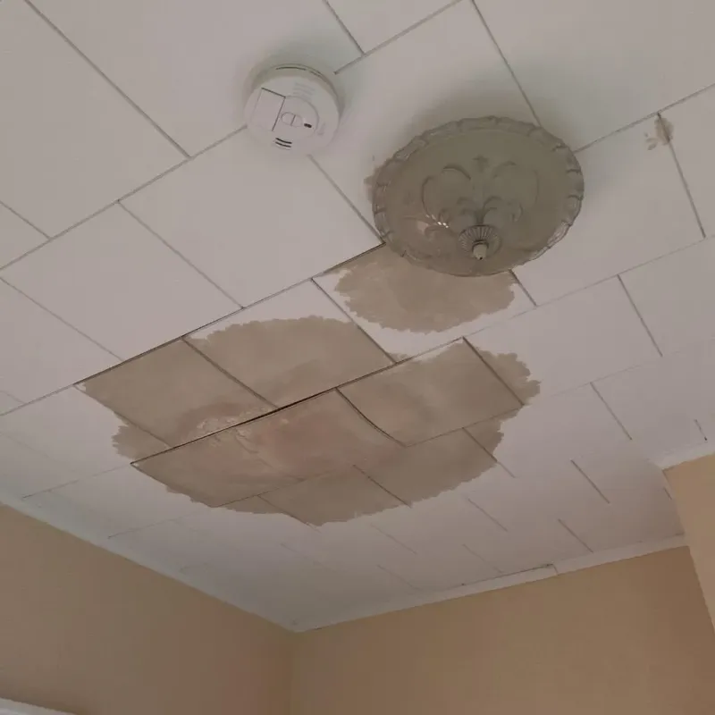 Ceiling Water Damage Repair in Aberdeen, MS