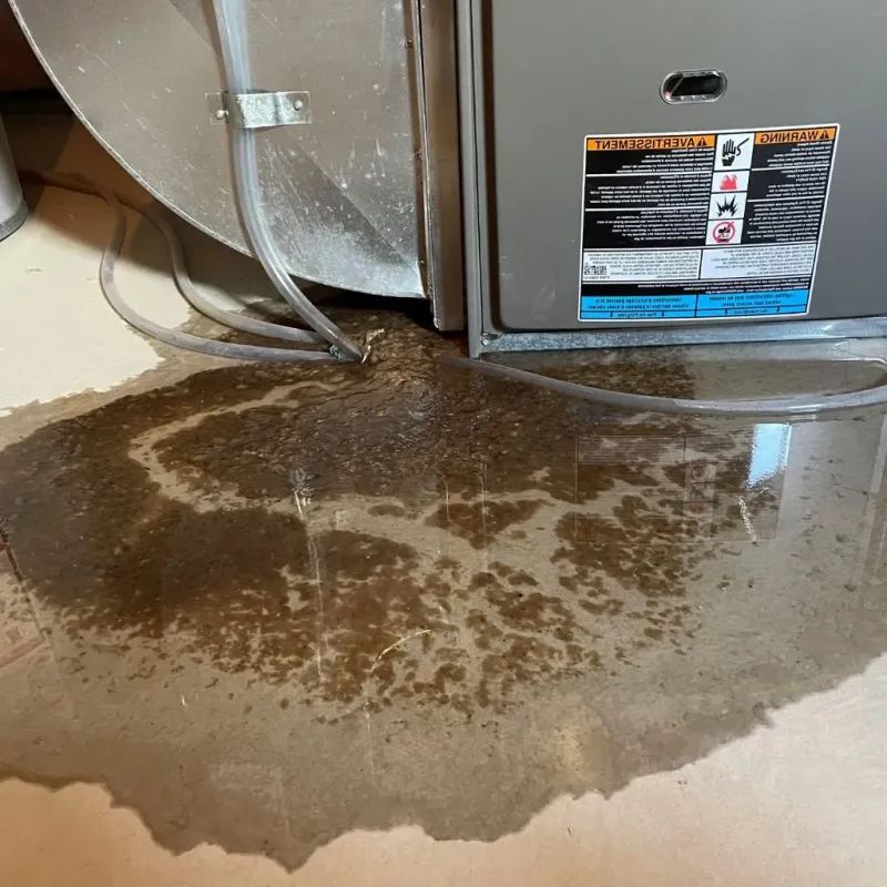 Pipe Burst and Leak Restoration in Aberdeen, MS