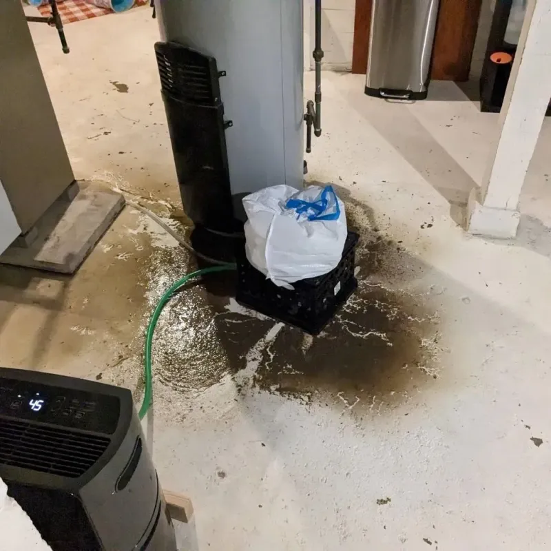 Sewage Backup Cleanup Service in Aberdeen, MS